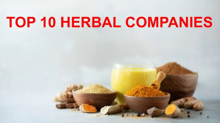 Top 10 MLM Companies in Herbal